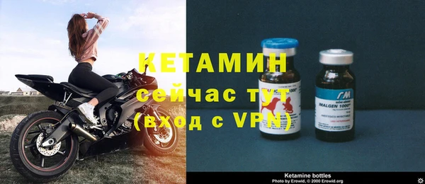 сатива Нефтекумск