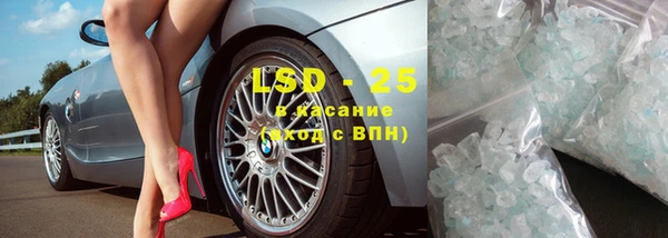 сатива Нефтекумск