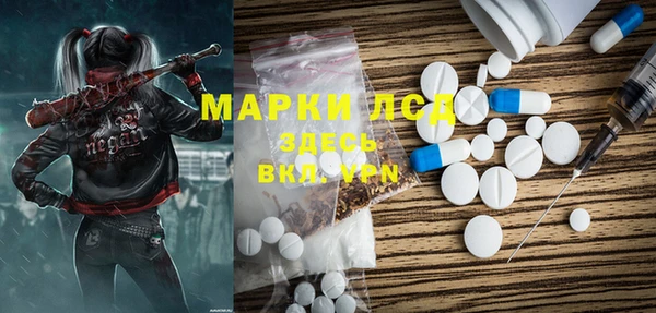 сатива Нефтекумск