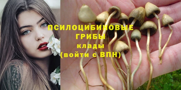 сатива Нефтекумск