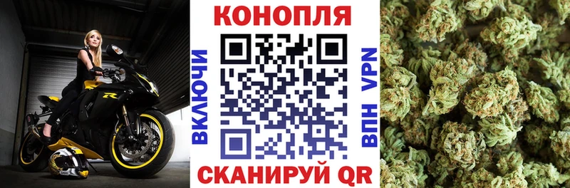 Конопля семена Сорск